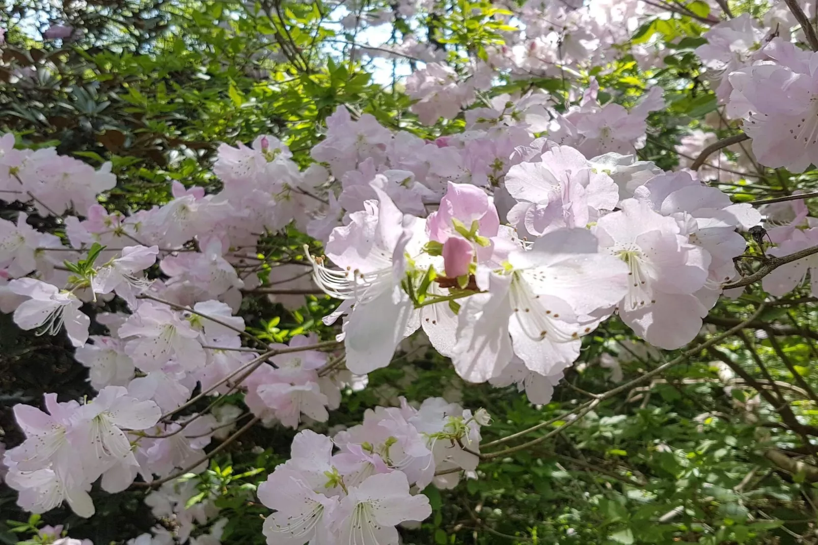 4 sterren vakantie huis in Vedbæk-Niet-getagd