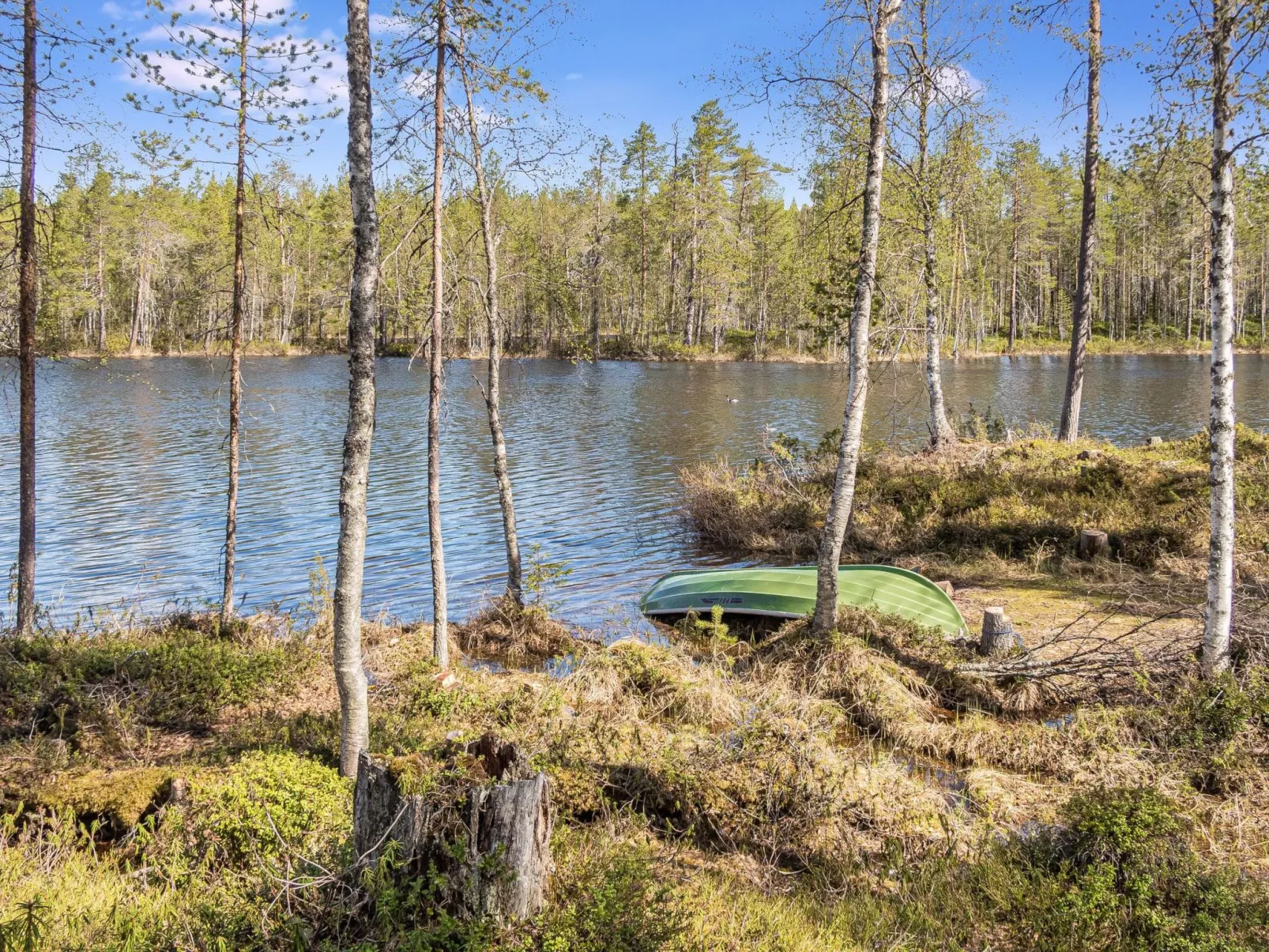 Kiehtäjän virta-Binnen