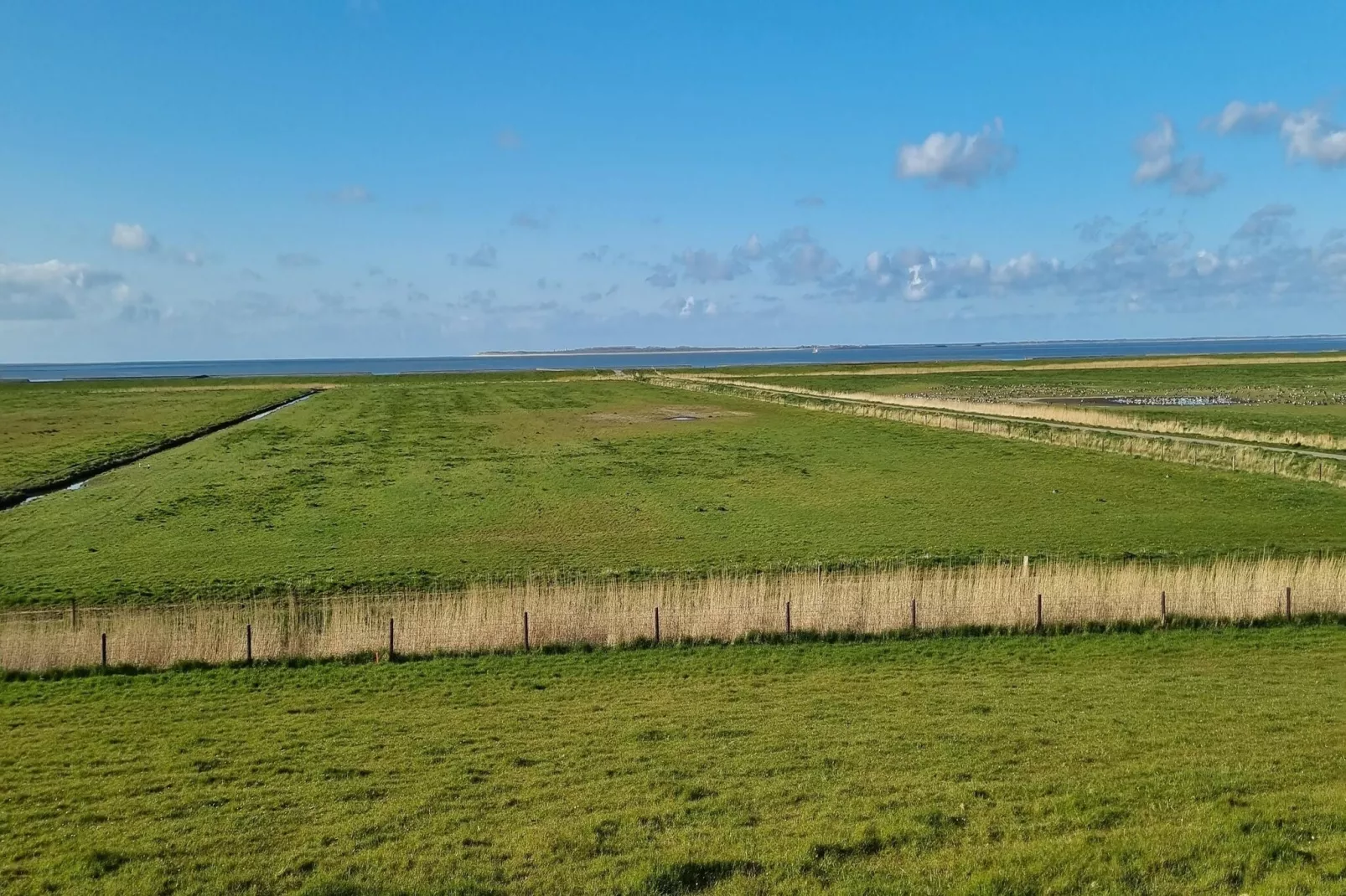 Ferienhaus Mühlenblick 07-Gebieden zomer 5km