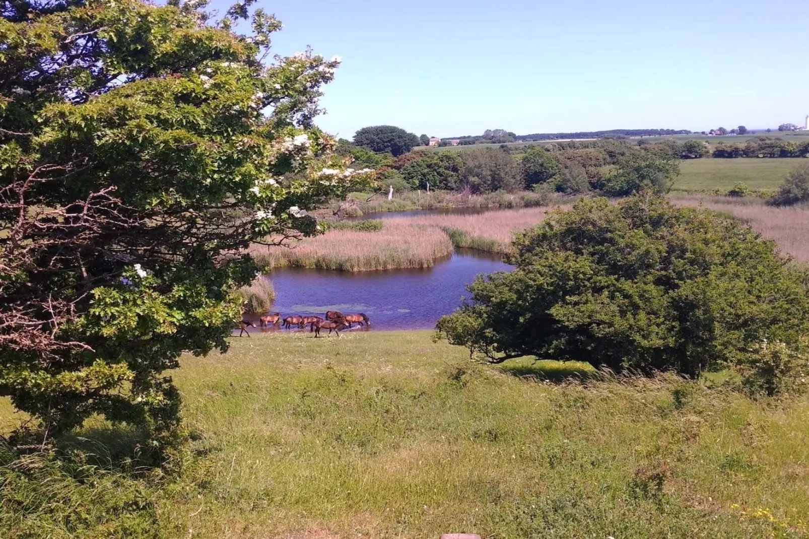 4 sterren vakantie huis in Bagenkop-Waterzicht