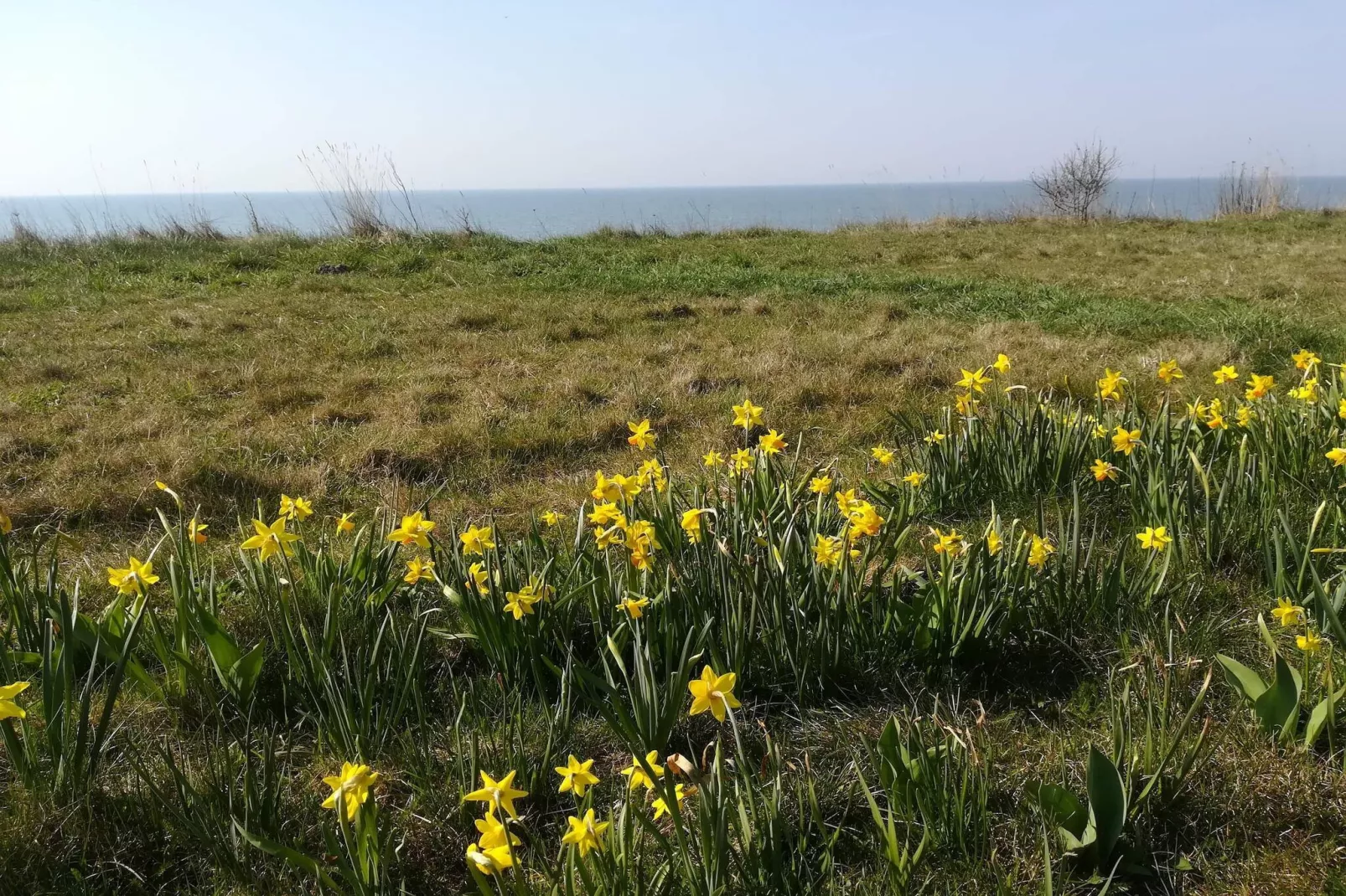 6 Personen vakantie huis in Gedser-Niet-getagd