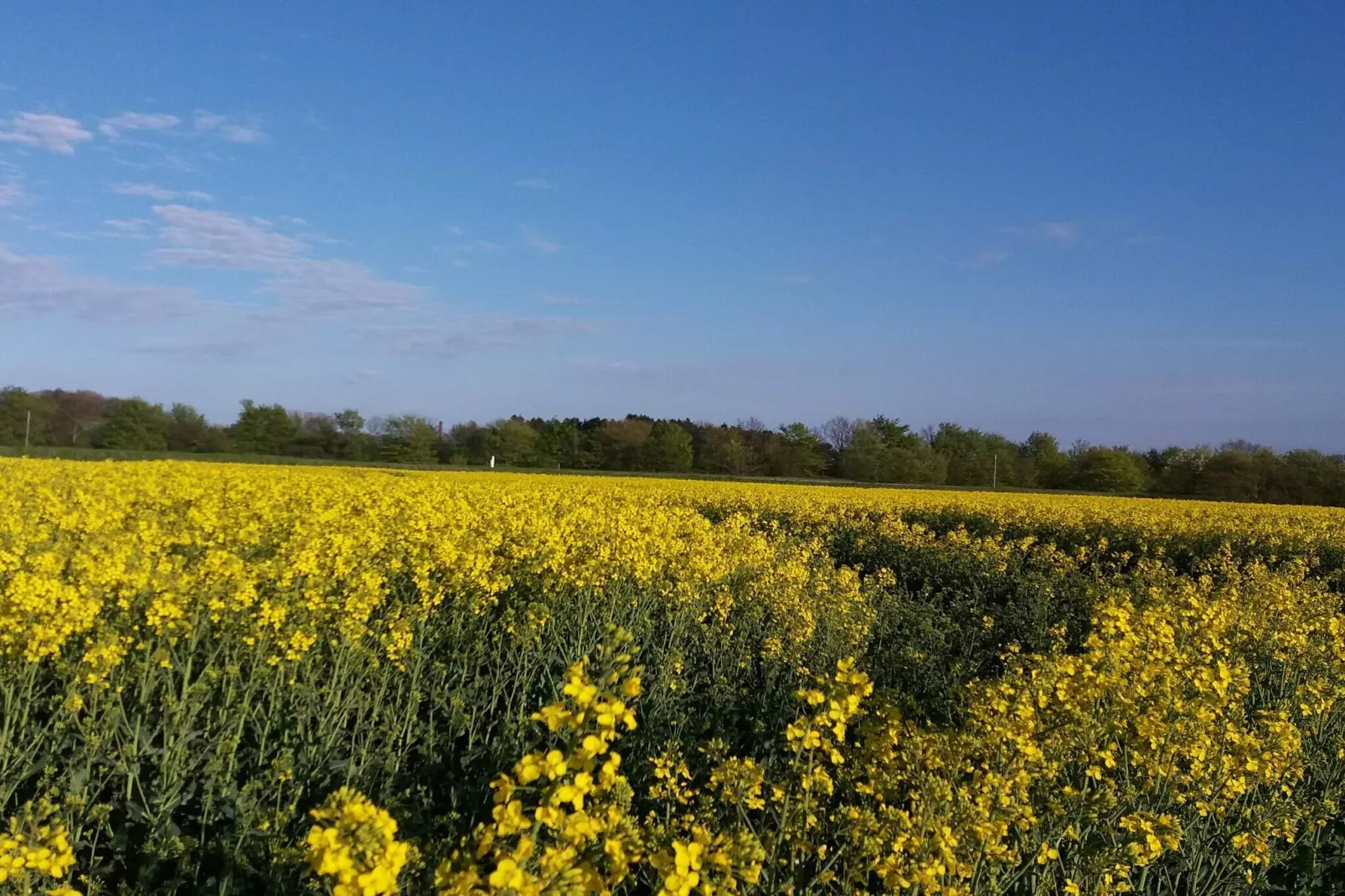 4 sterren vakantie huis in Jægerspris-Niet-getagd