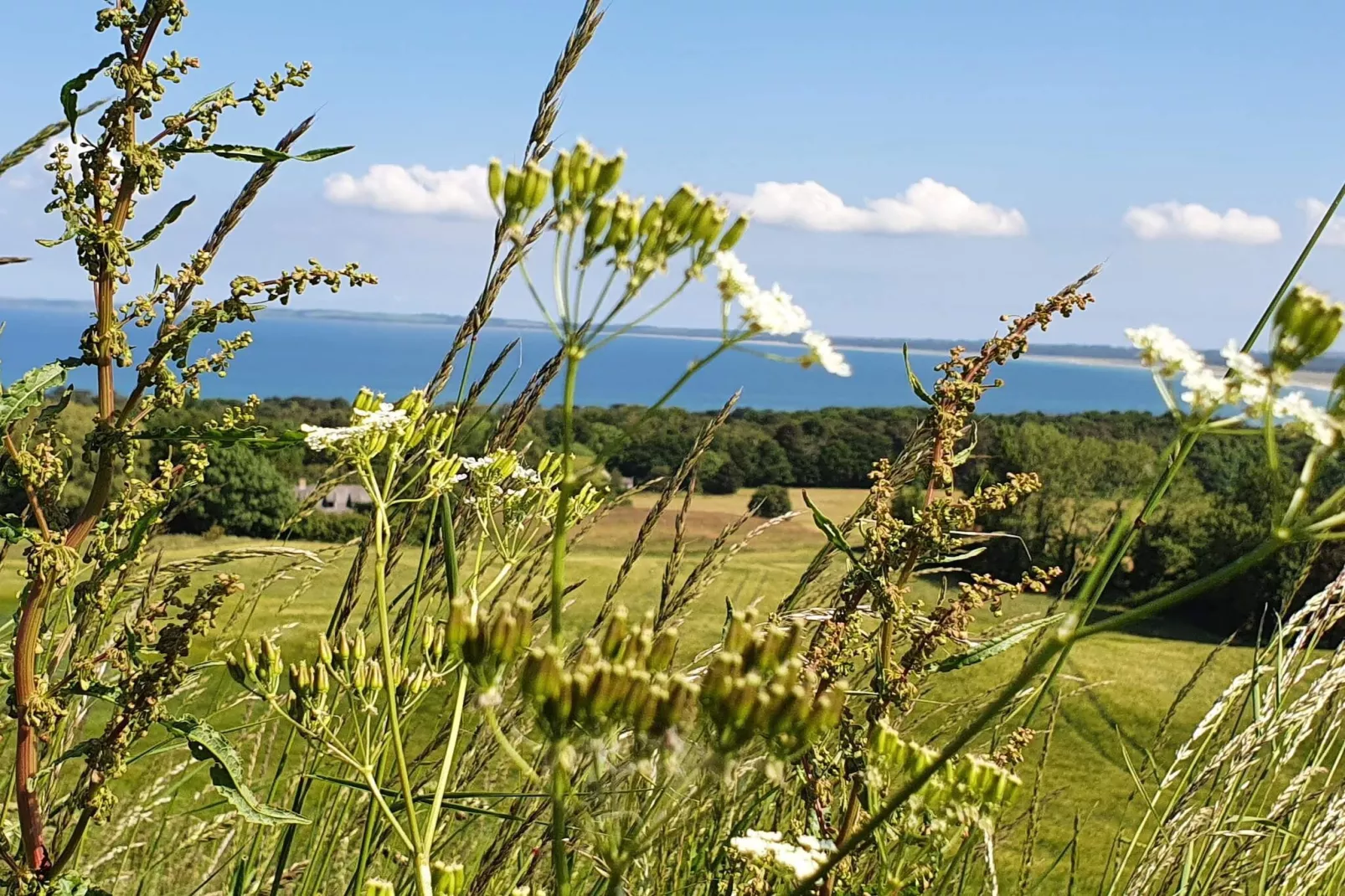 7 Personen vakantie huis in Asnæs-Niet-getagd