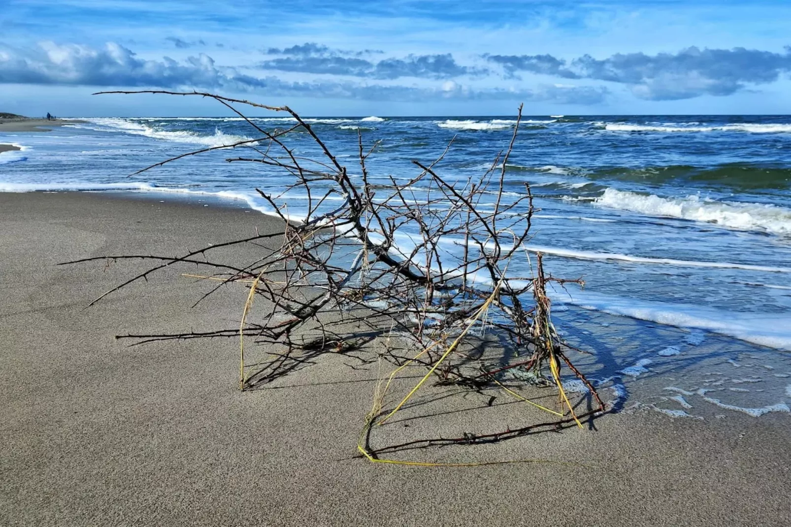 Haus Sonne - Garten Fewo - Strandhotel Fischland-Gebieden zomer 5km