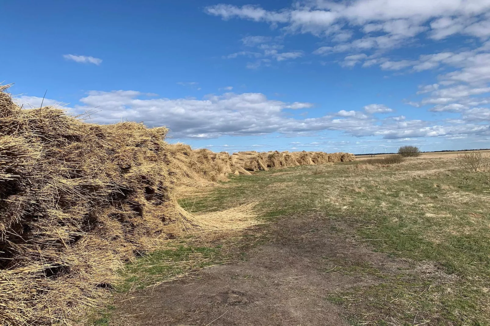 0 Personen vakantie huis in Hemmet