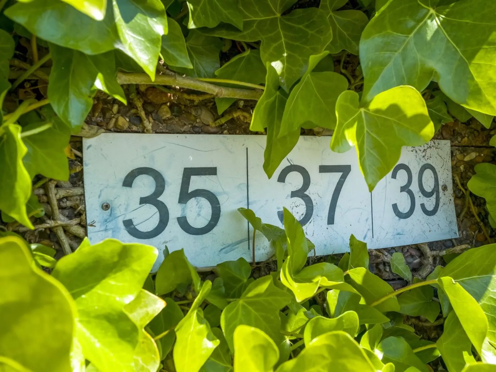 "Sibyll" - 2km from the sea-Buiten