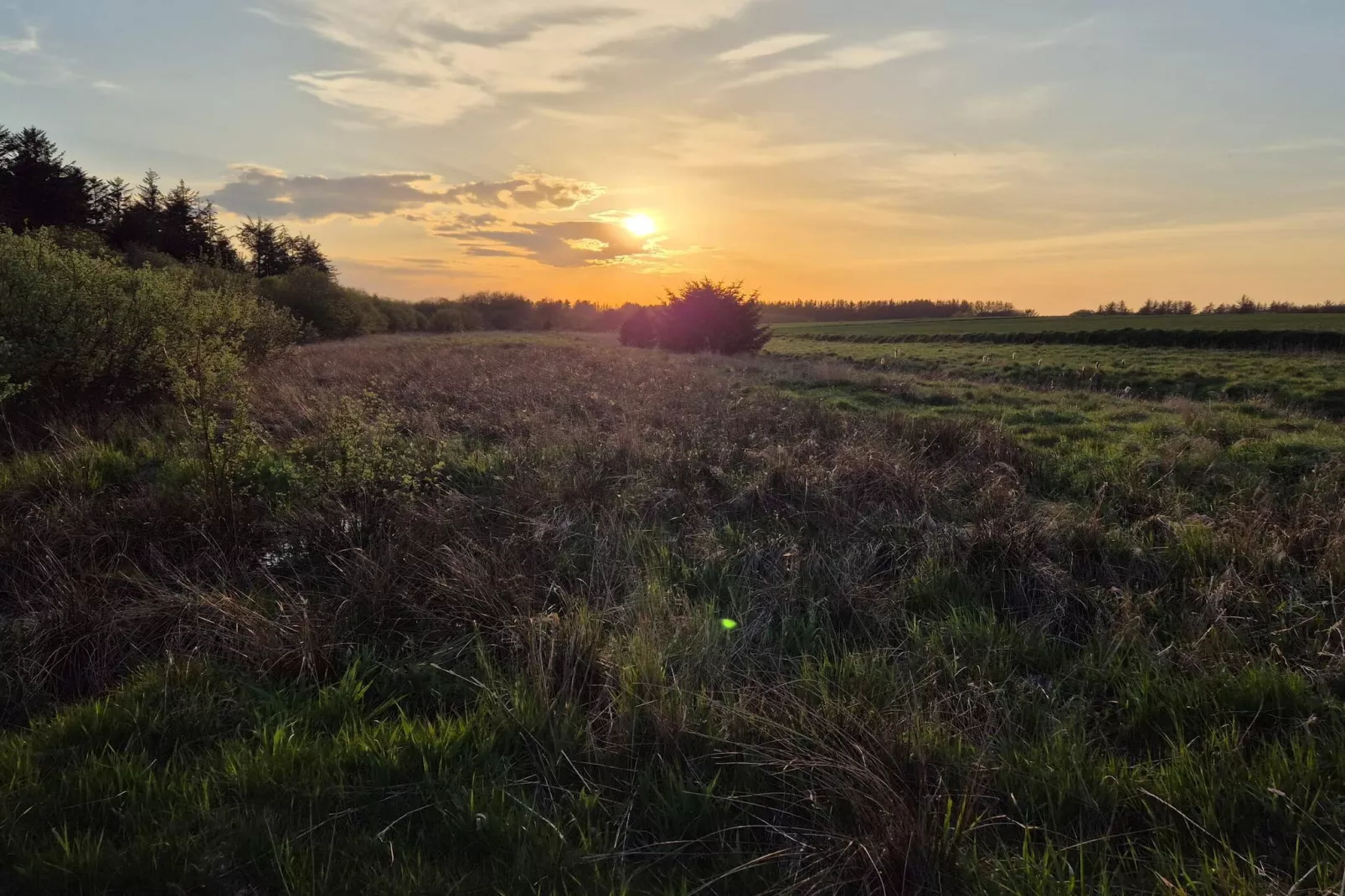 4 sterren vakantie huis in Brønderslev-Niet-getagd