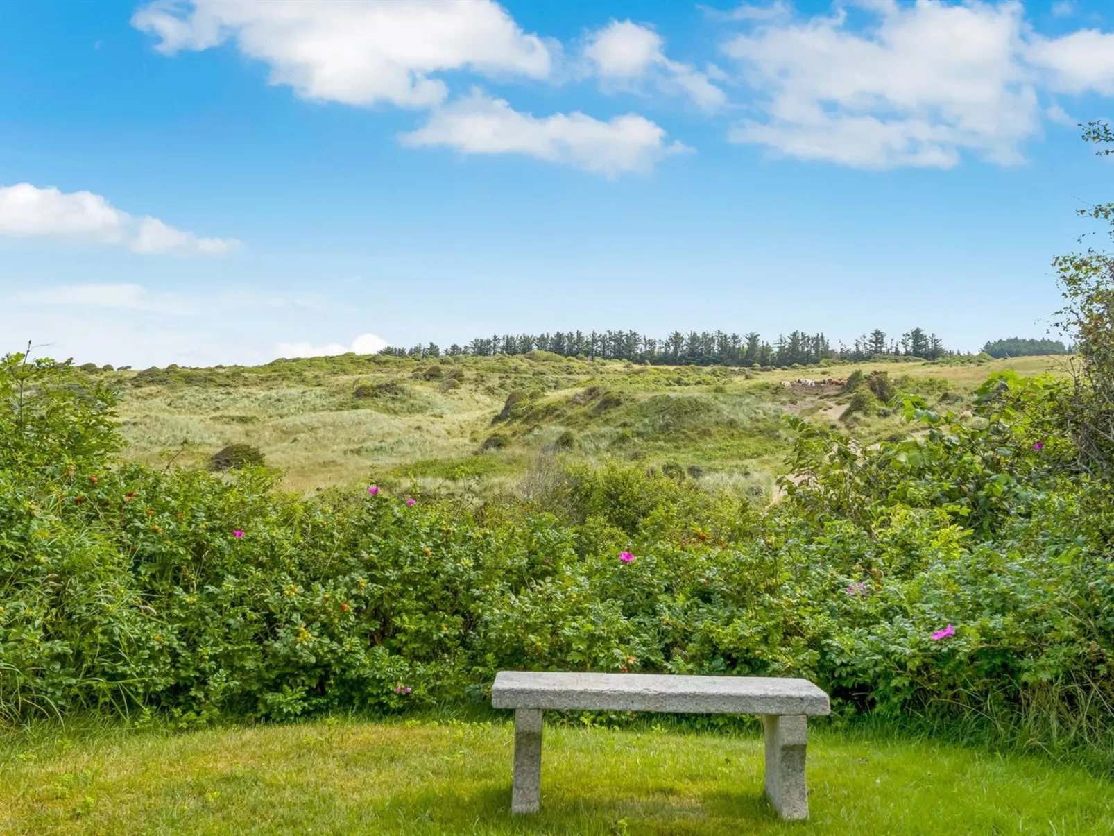 "Nikolce" - 500m from the sea-Buiten