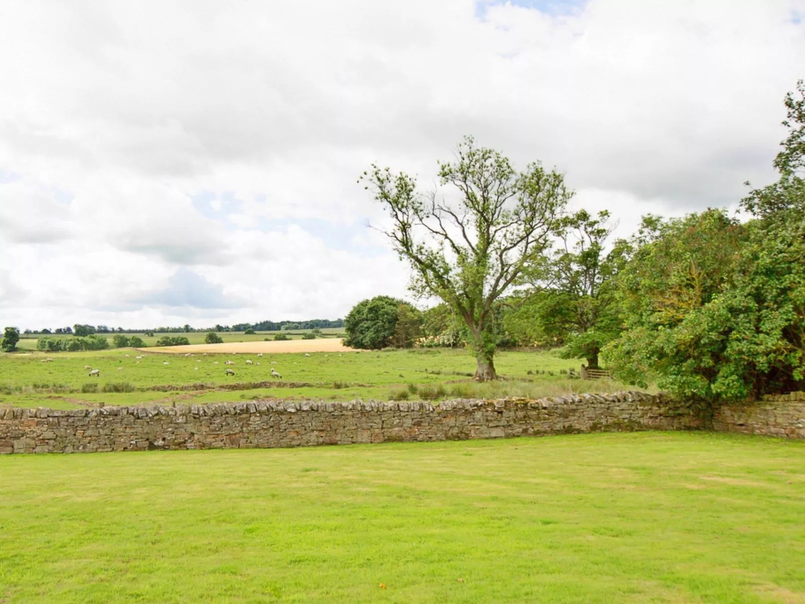 The Cottage, Shortflatt Farm-Buiten