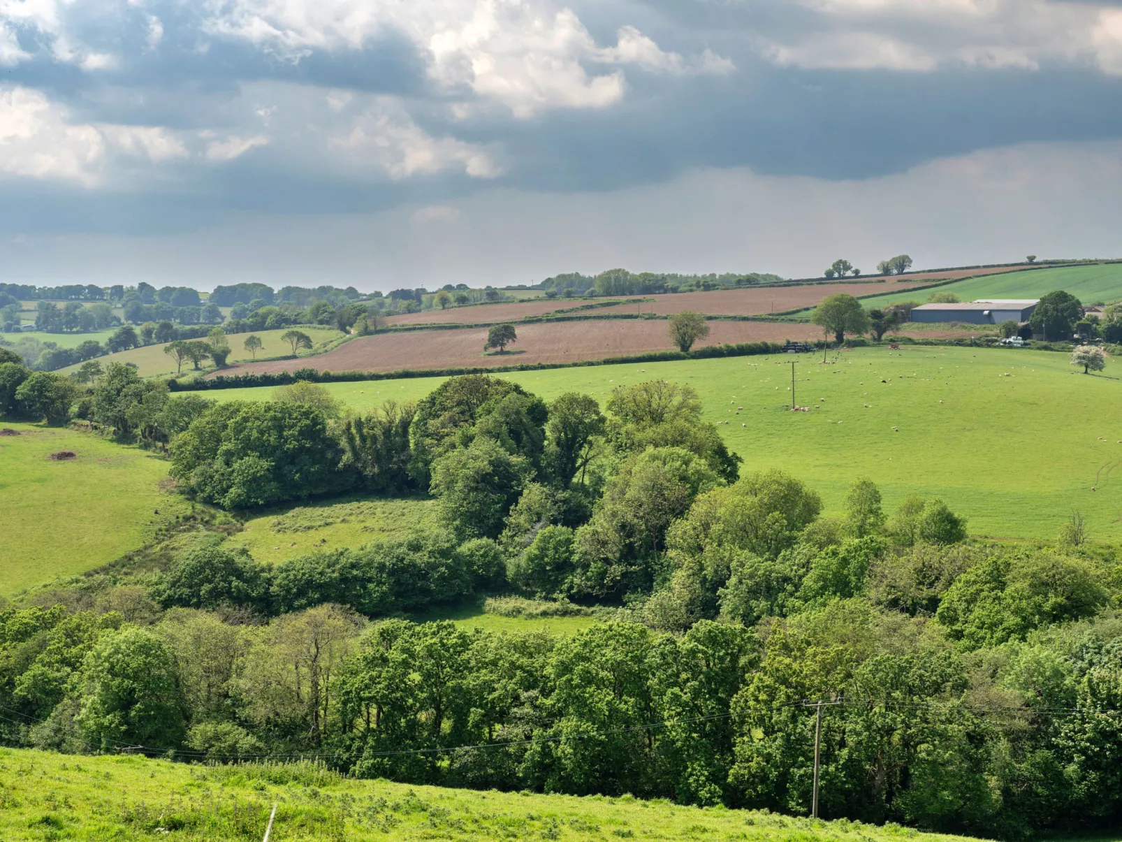 The Shippon at Lestitha-Buiten