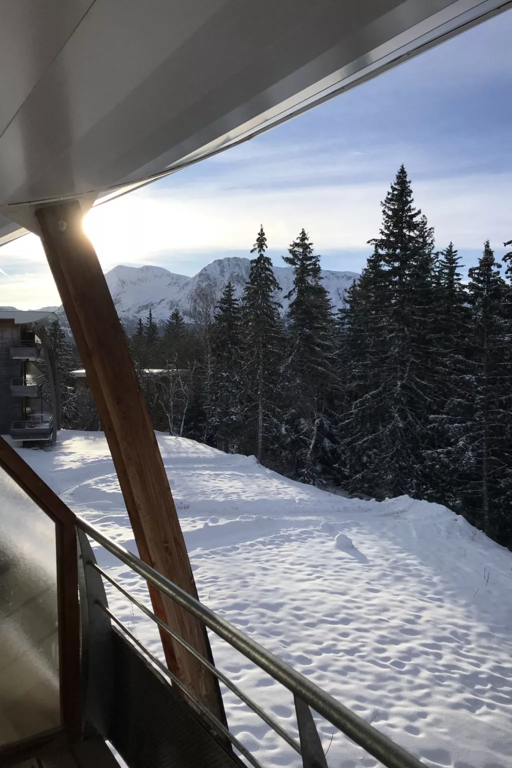 V du Bachat Asters B