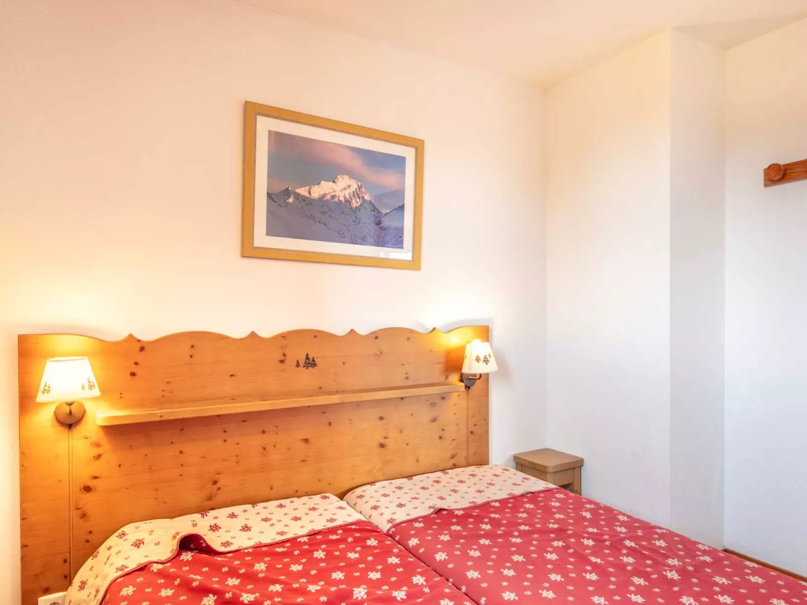 V du Bachat SILENE D