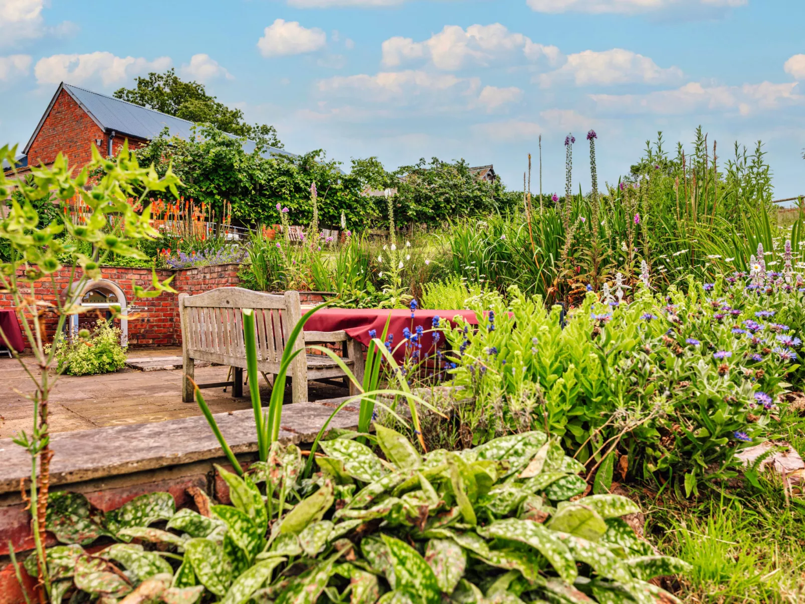 Beili Glas Cottage-Buiten