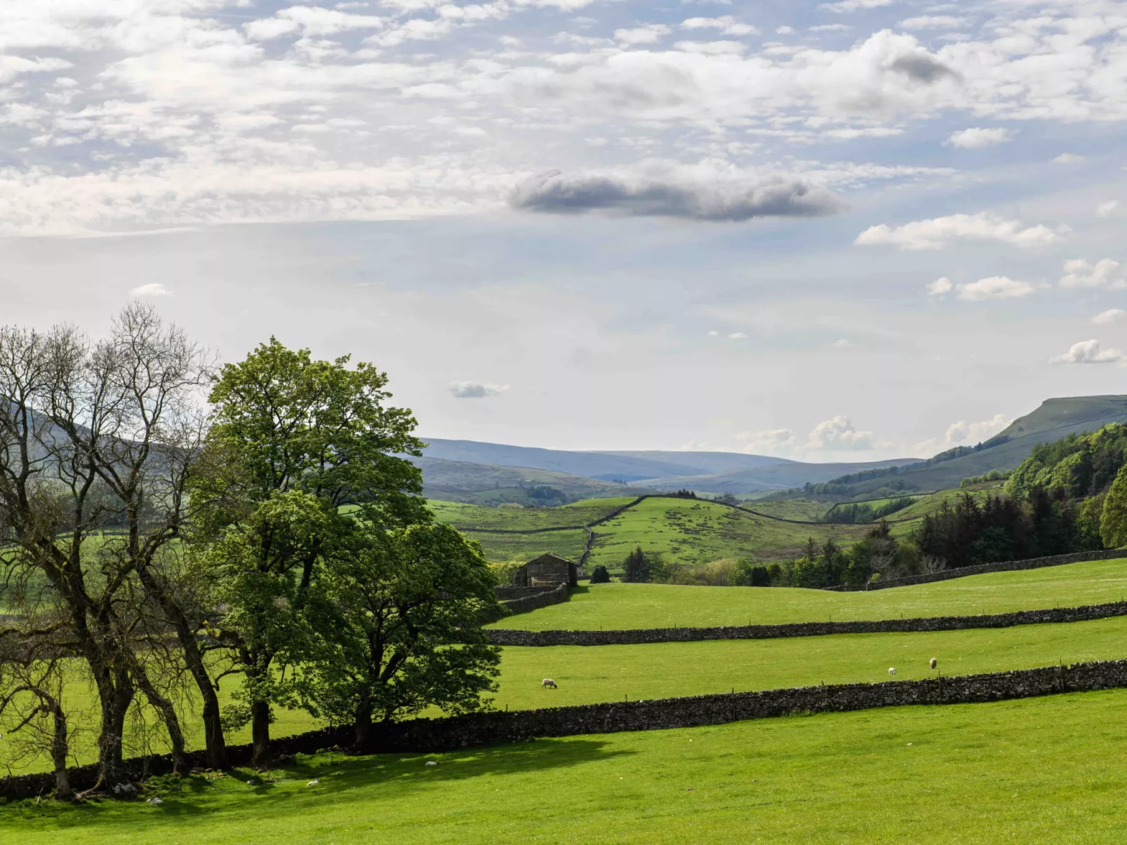Shepherds Cottage at Mile House Farm-Buiten