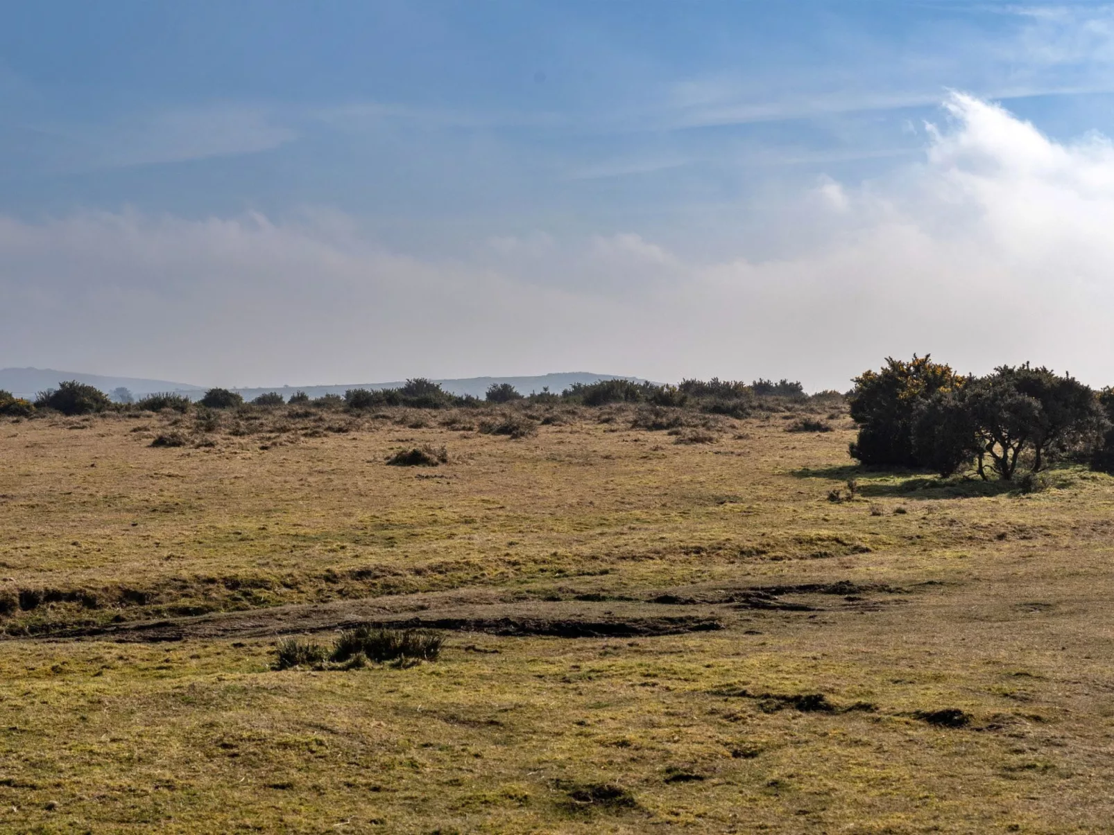 Jubilee Barn Cottage at Bodmin Moor-Buiten