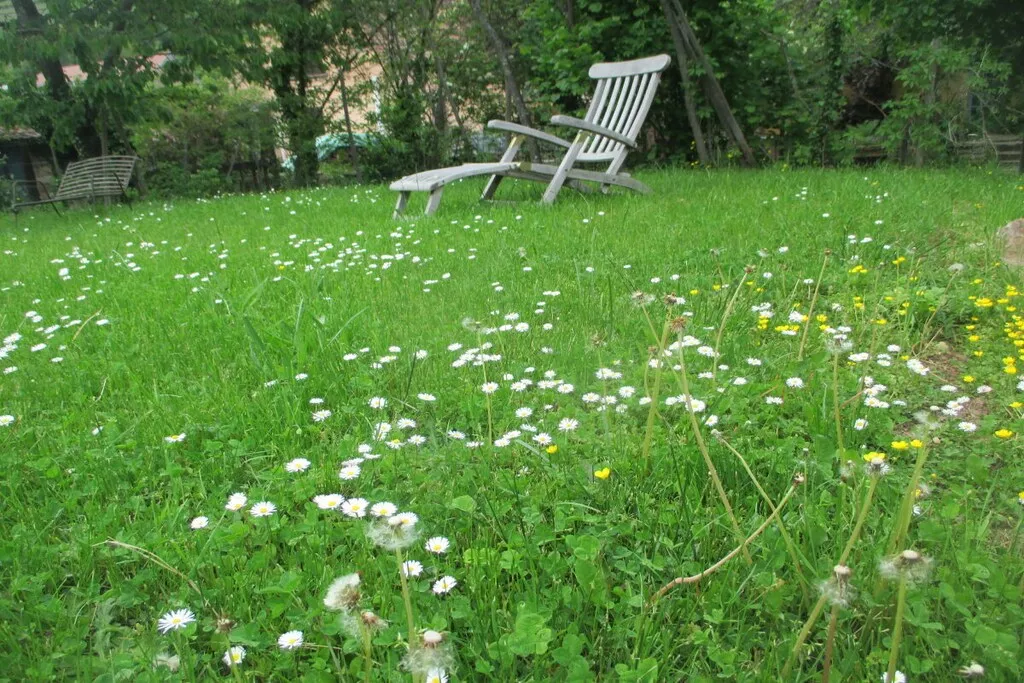 479485 - Niet-getagd