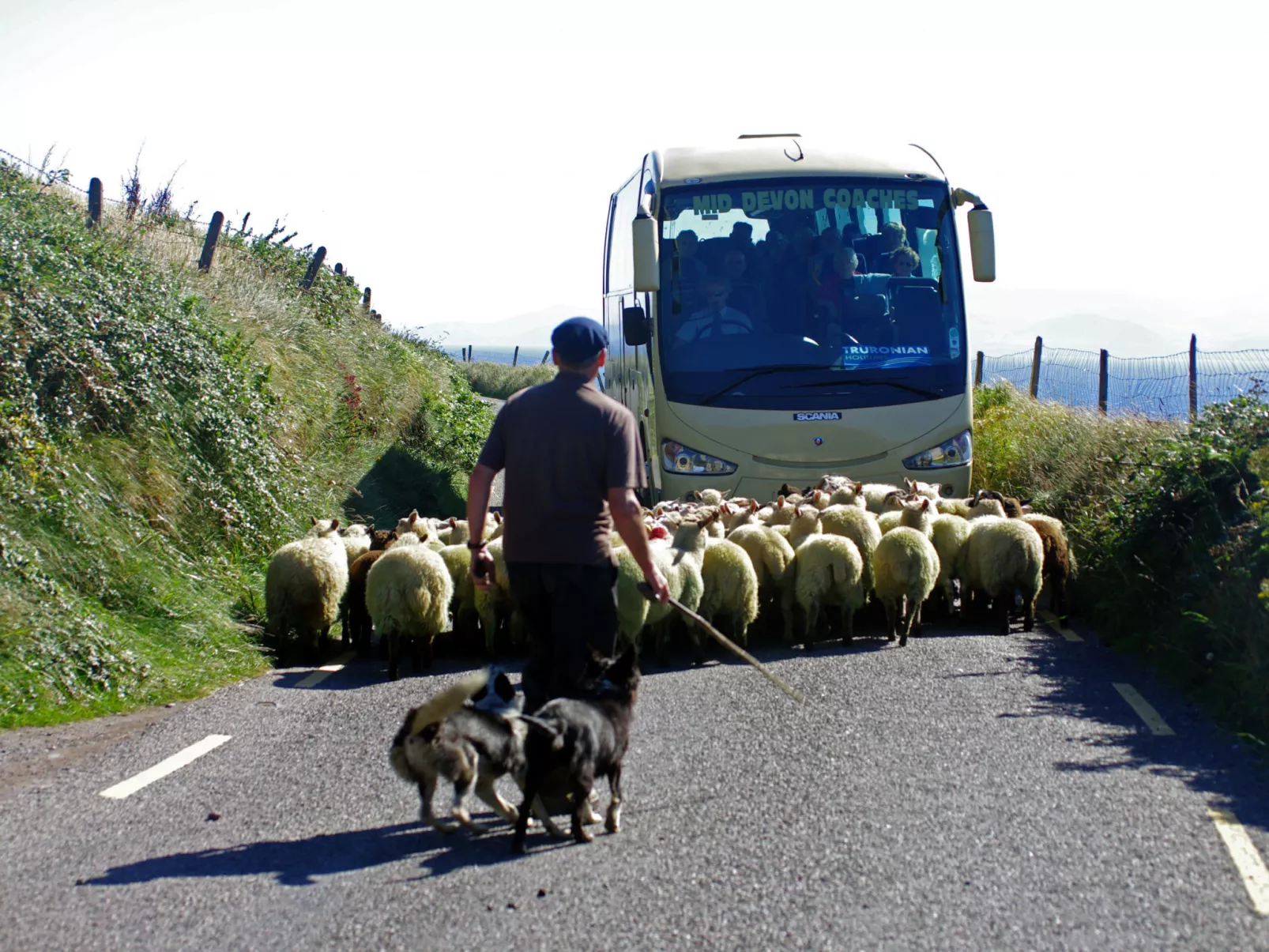 Dingle Bay View (TR2)-Buiten