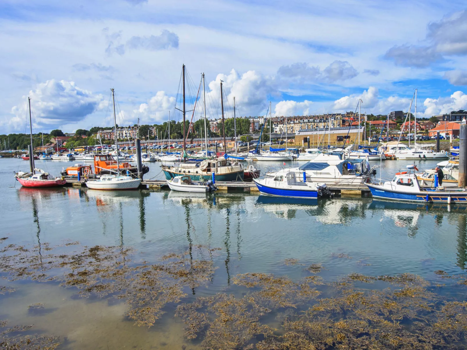 Ukulele Studio-Binnen