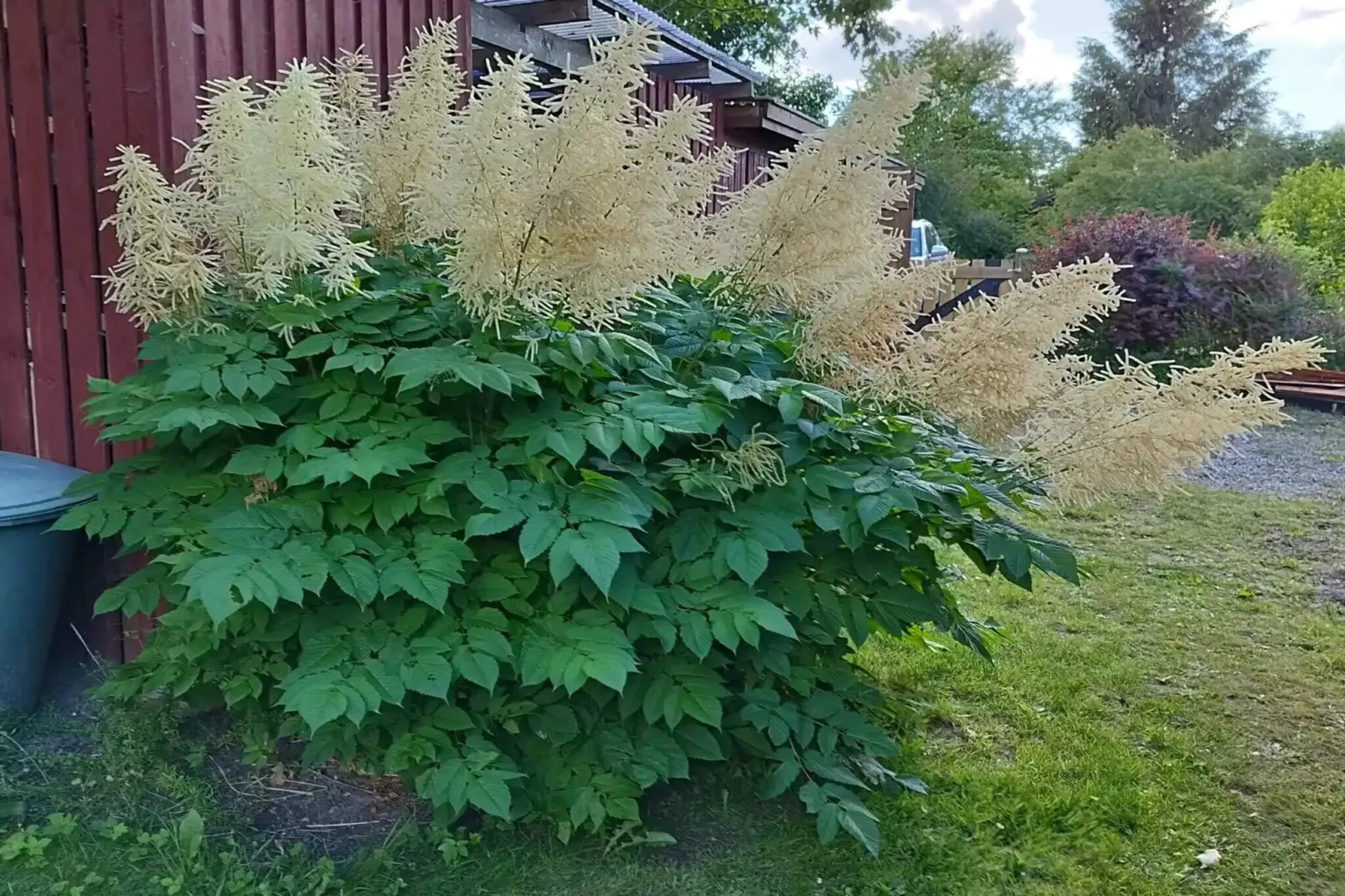 5 sterren vakantie huis in Skibby-Niet-getagd