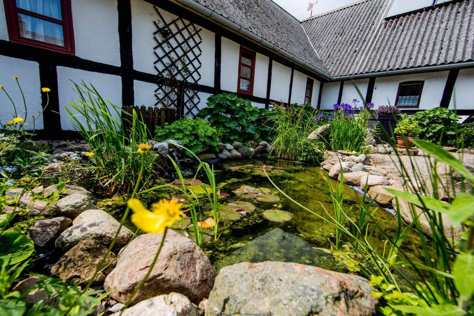 5 sterren vakantie huis in Faaborg-Buitenlucht