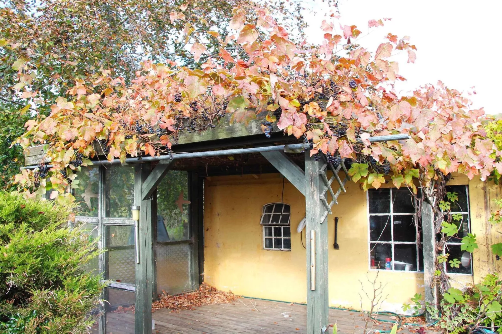 5 sterren vakantie huis in Svaneke-Buitenlucht