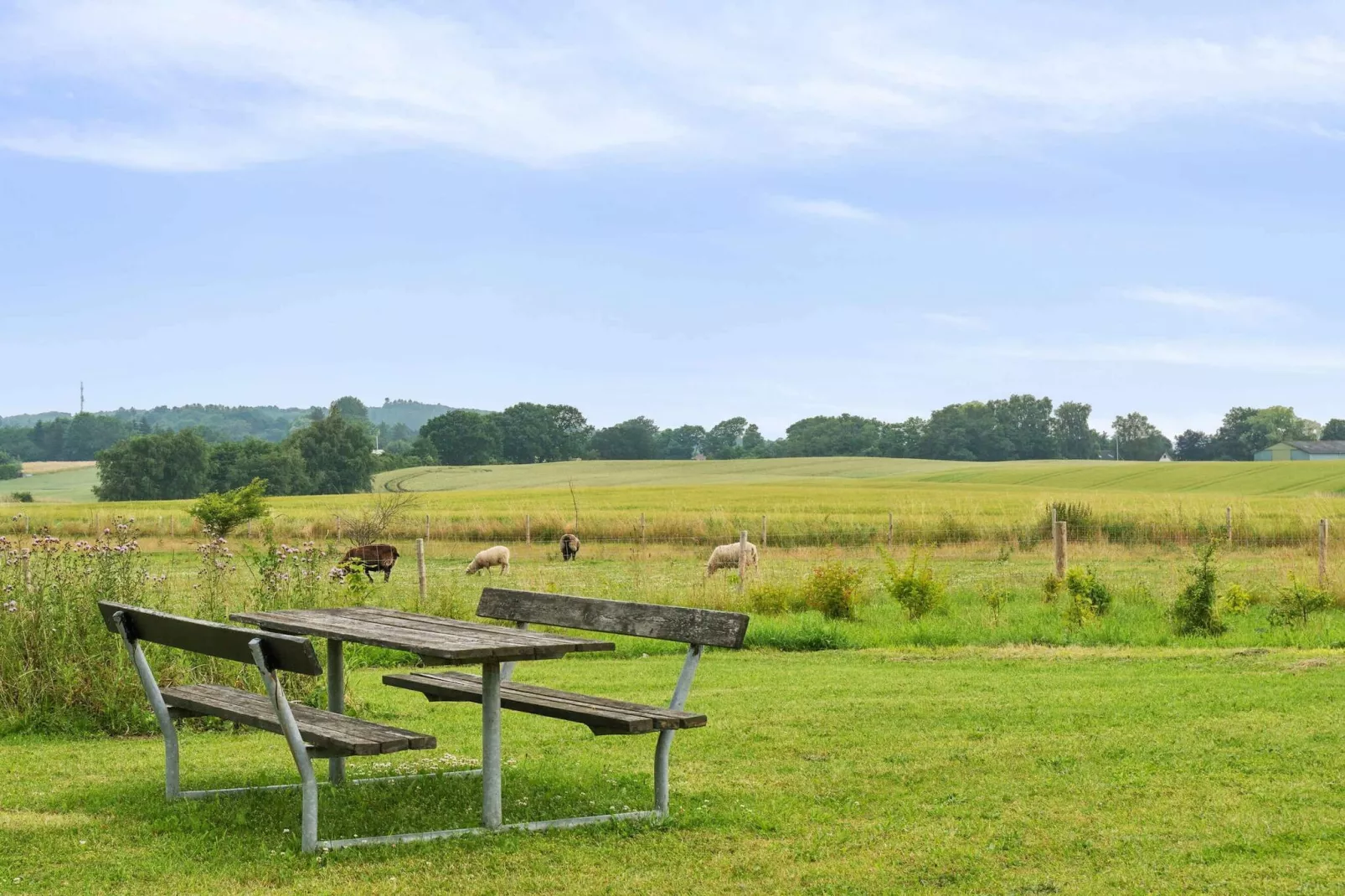 5 sterren vakantie huis in Svebølle-Buitenlucht