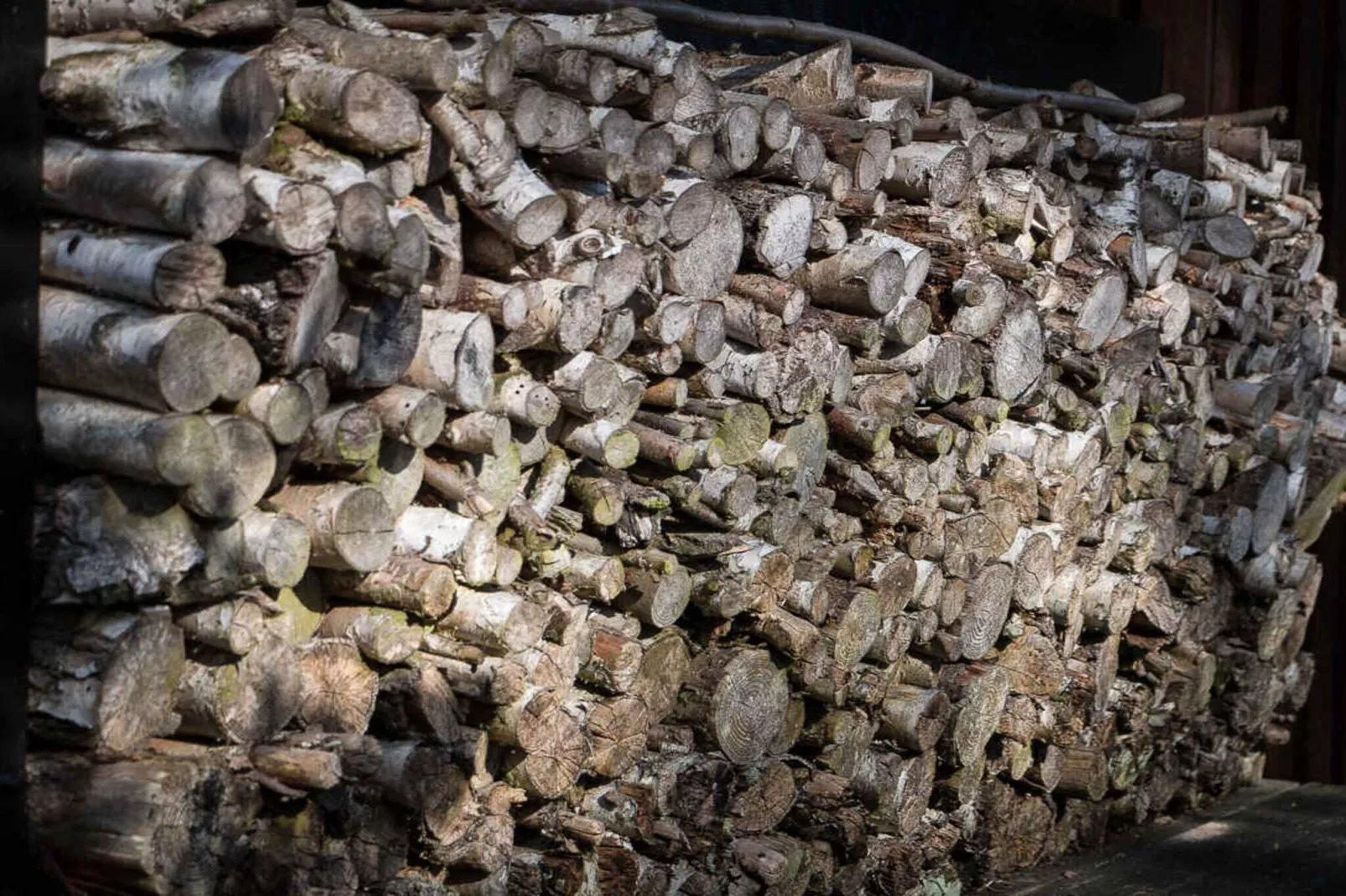 5 sterren vakantie huis in Store Fuglede-Buitenlucht