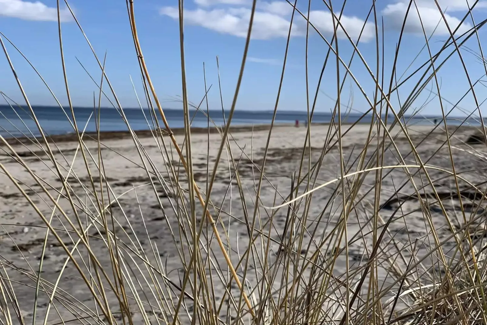 5 sterren vakantie huis in Hornbæk-Niet-getagd