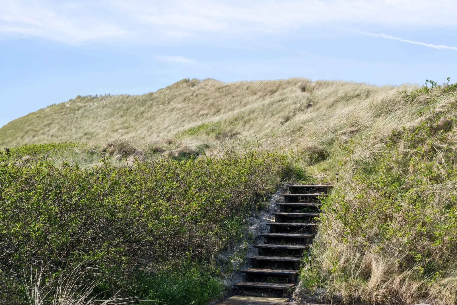 5 sterren vakantie huis in Pandrup-Buitenlucht