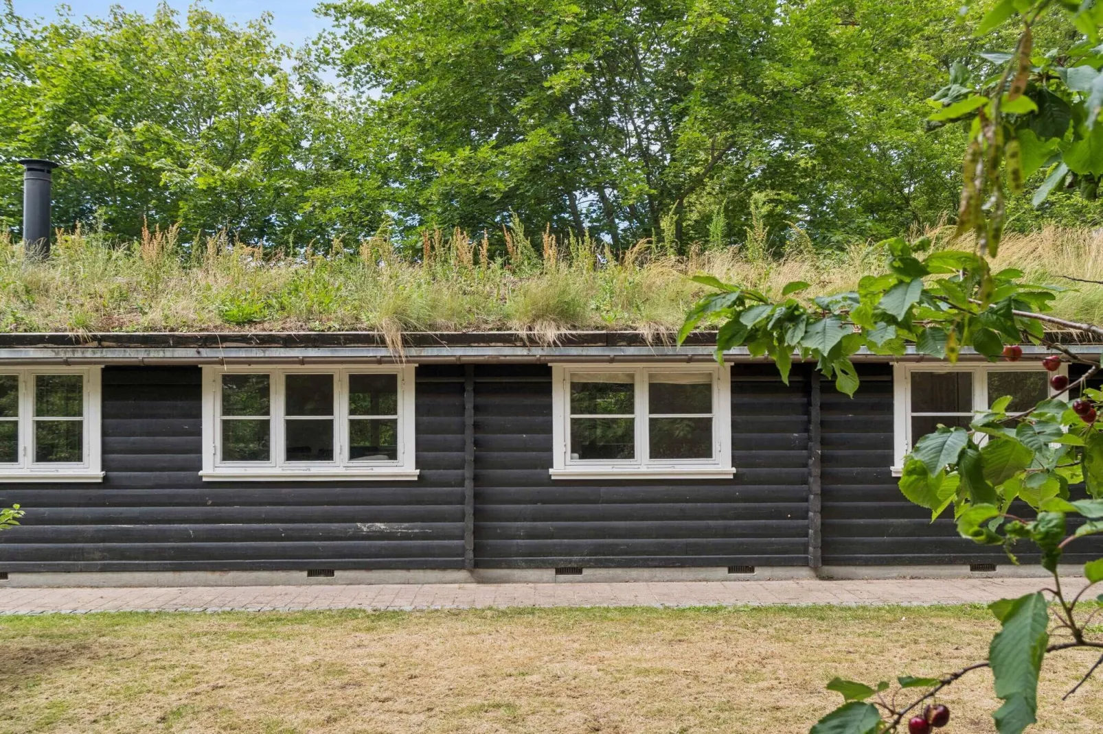 4 sterren vakantie huis in Dronningmølle-Buitenlucht