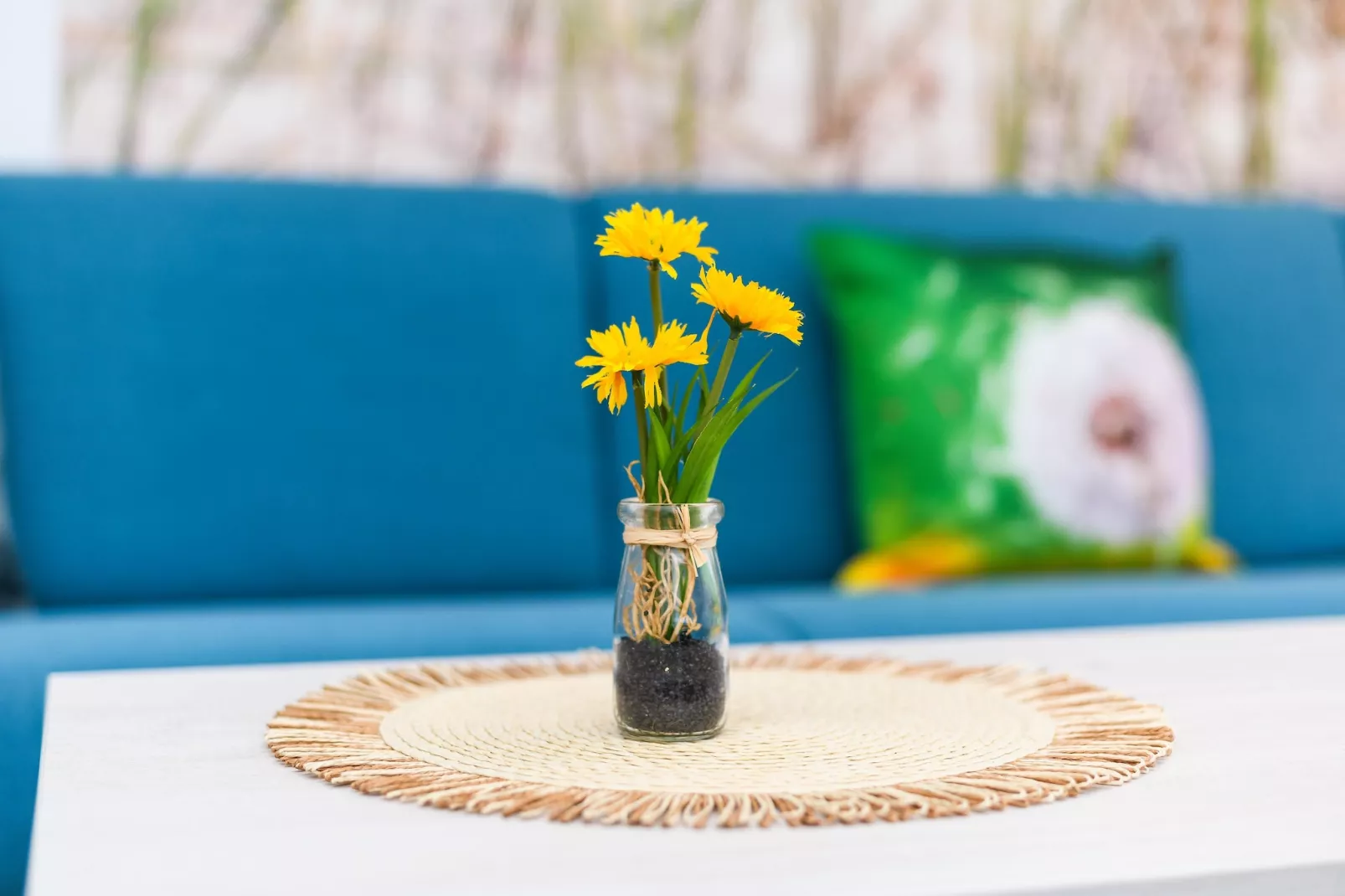 Haus Strandkorb 1-Woonkamer