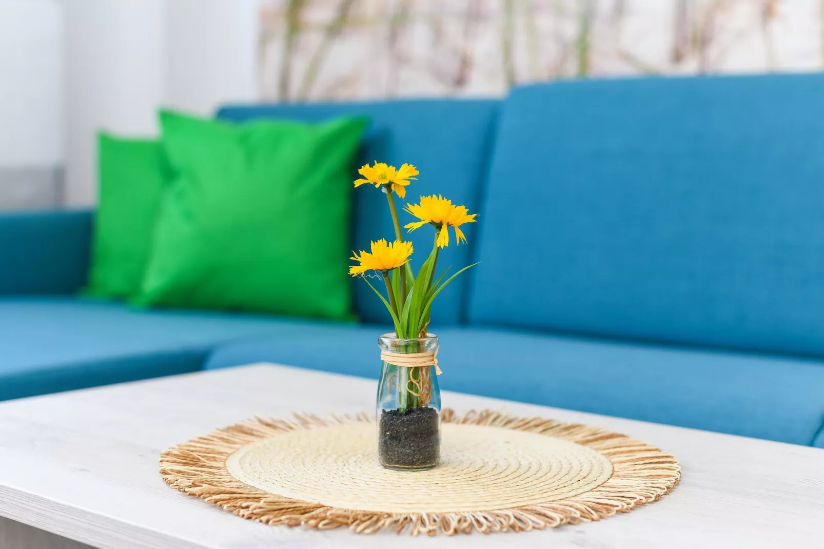 Haus Strandkorb 5-Woonkamer