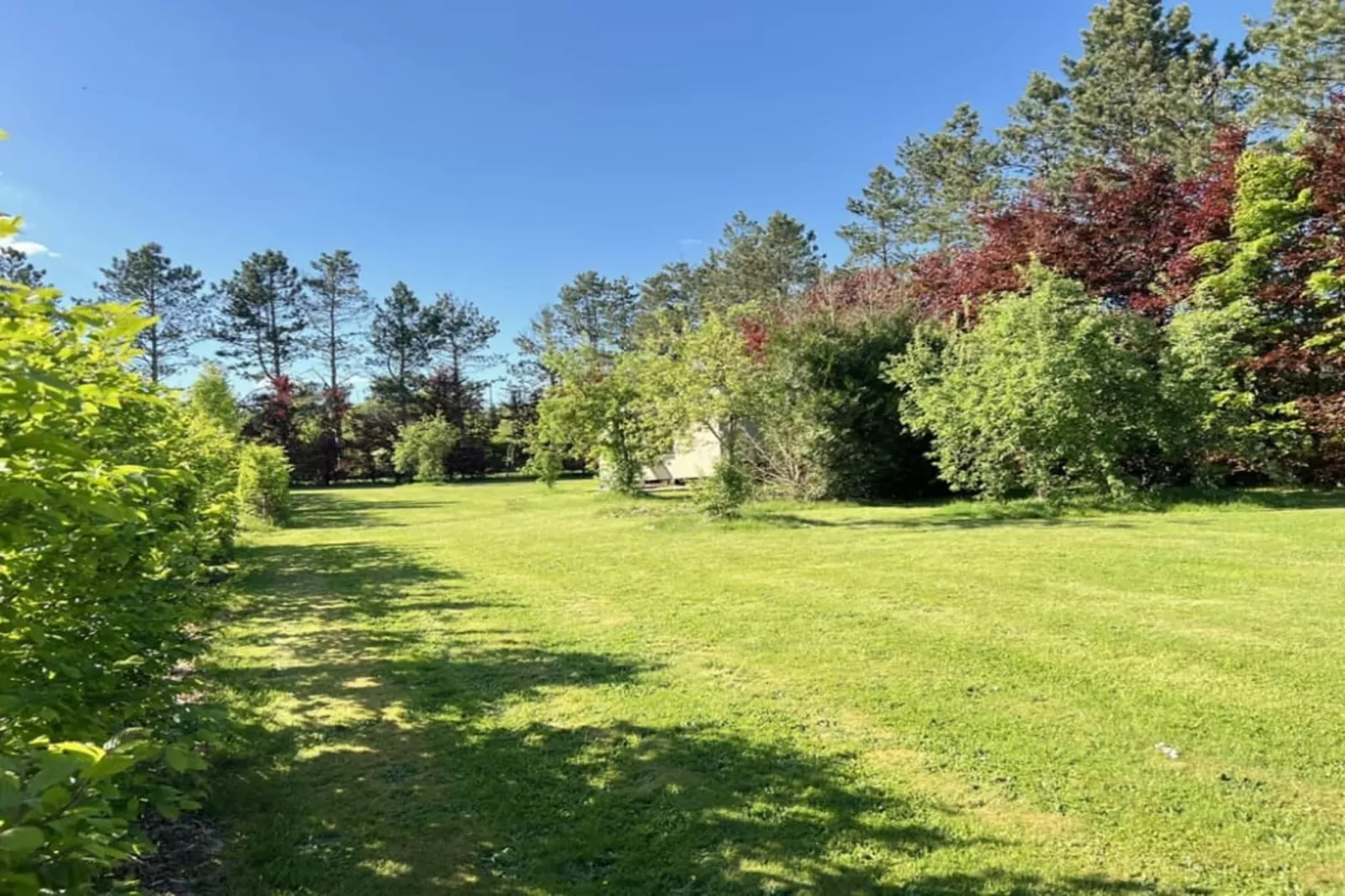 Pine Tree Tiny Cottage-Tuinen zomer