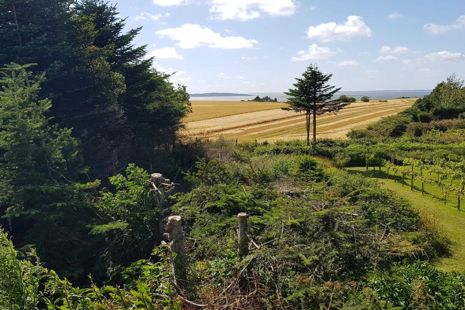 4 sterren vakantie huis in Ranum-Buitenlucht