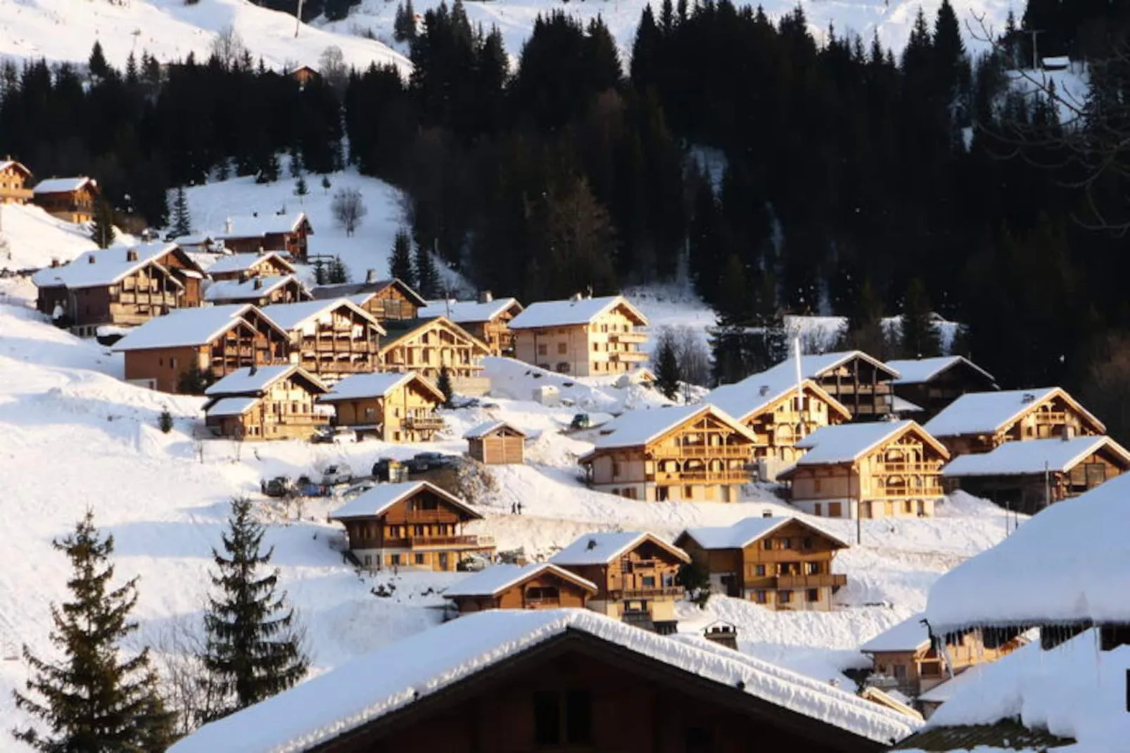 Résidence Dryade-Niet-getagd