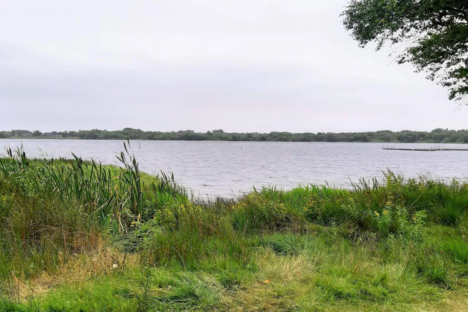 Rustieke Cottage nabij Kvie Lake-By Traum-Waterzicht