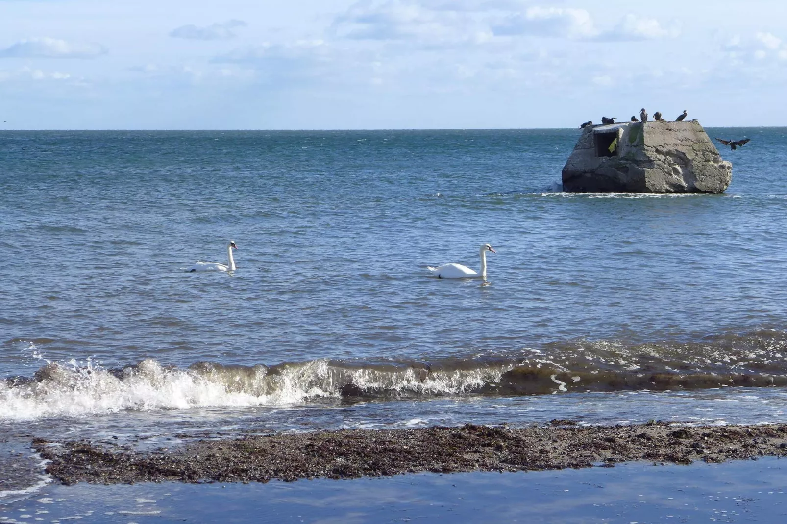 Idyllisch rietgedekt huisje-By Traum-Waterzicht