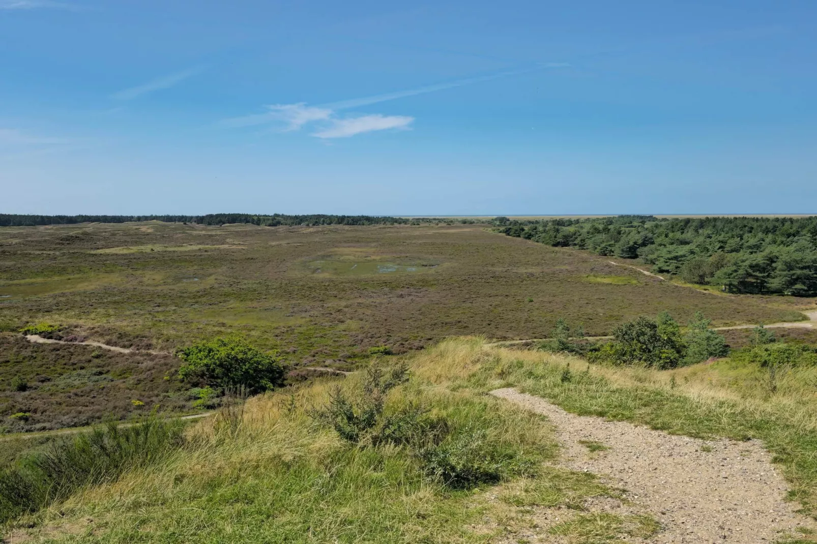 Rustiek rietgedekt huis op Romo-By Traum-Niet-getagd