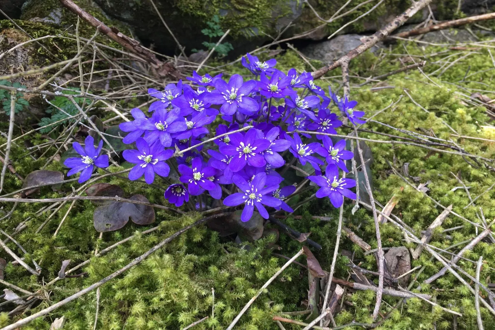 10 persoons vakantie huis in FÄRJESTADEN-Niet-getagd