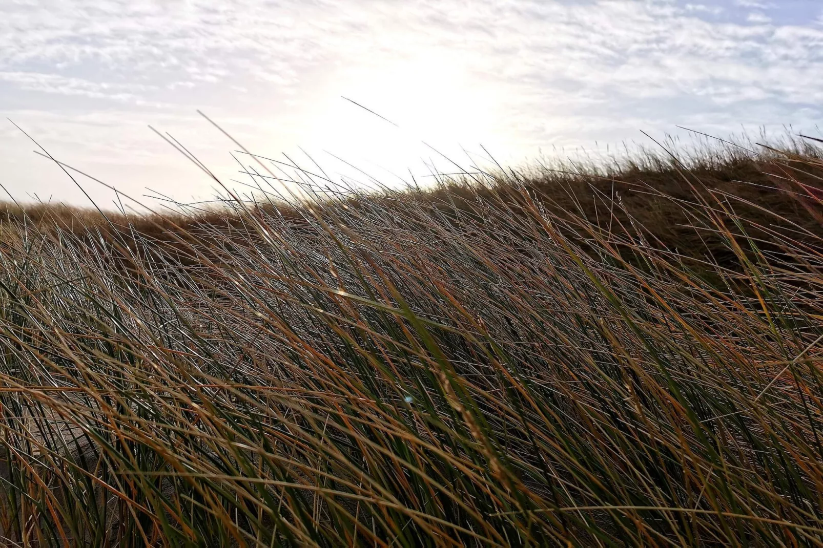 8 persoons vakantie huis in Ringkøbing