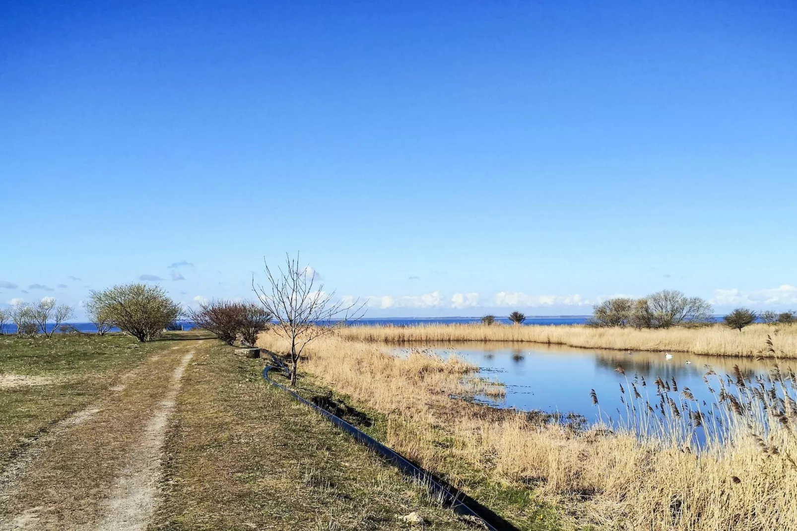4 persoons vakantie huis in Assens-Waterzicht