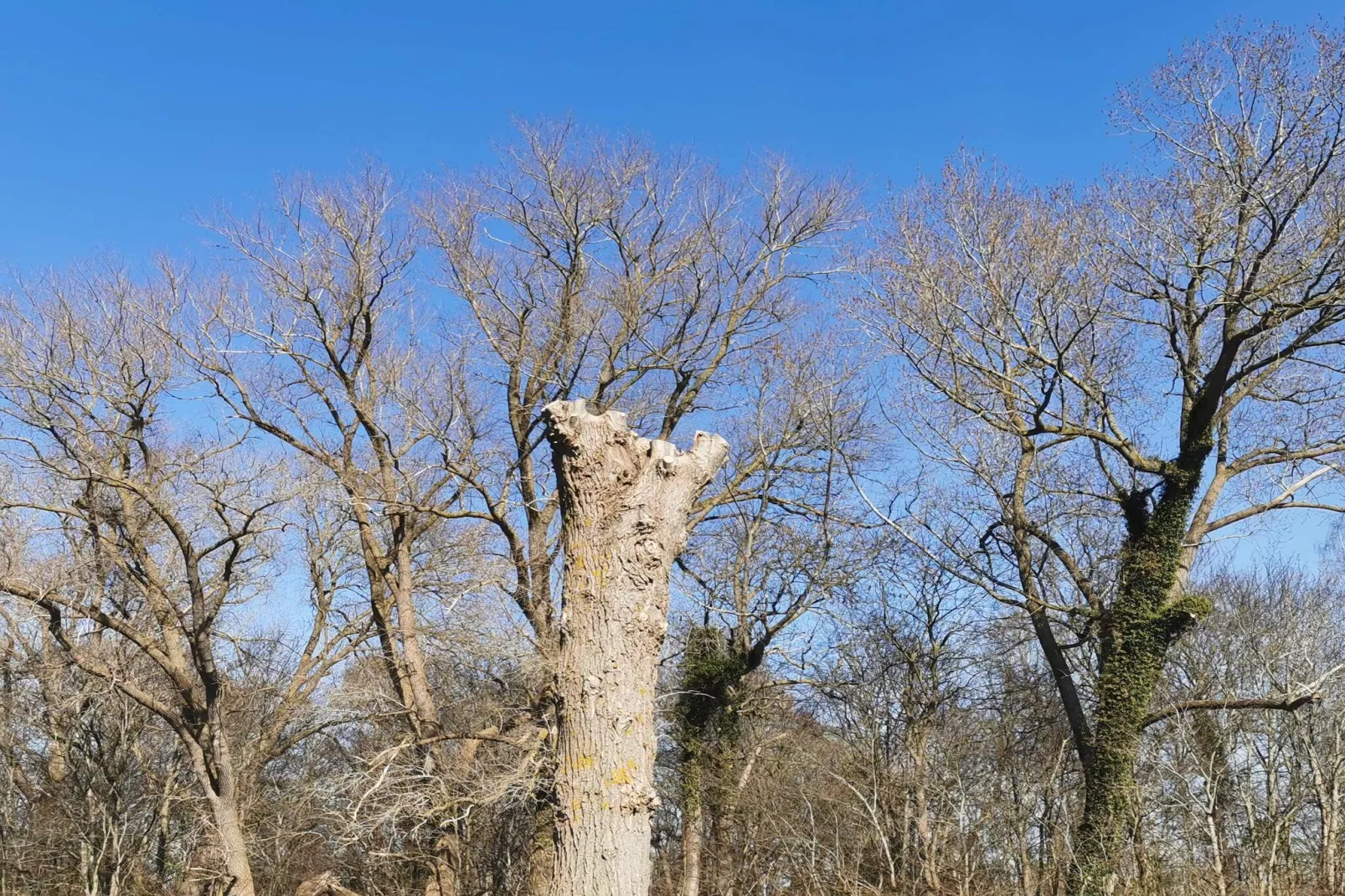5 persoons vakantie huis in Holeby-Niet-getagd