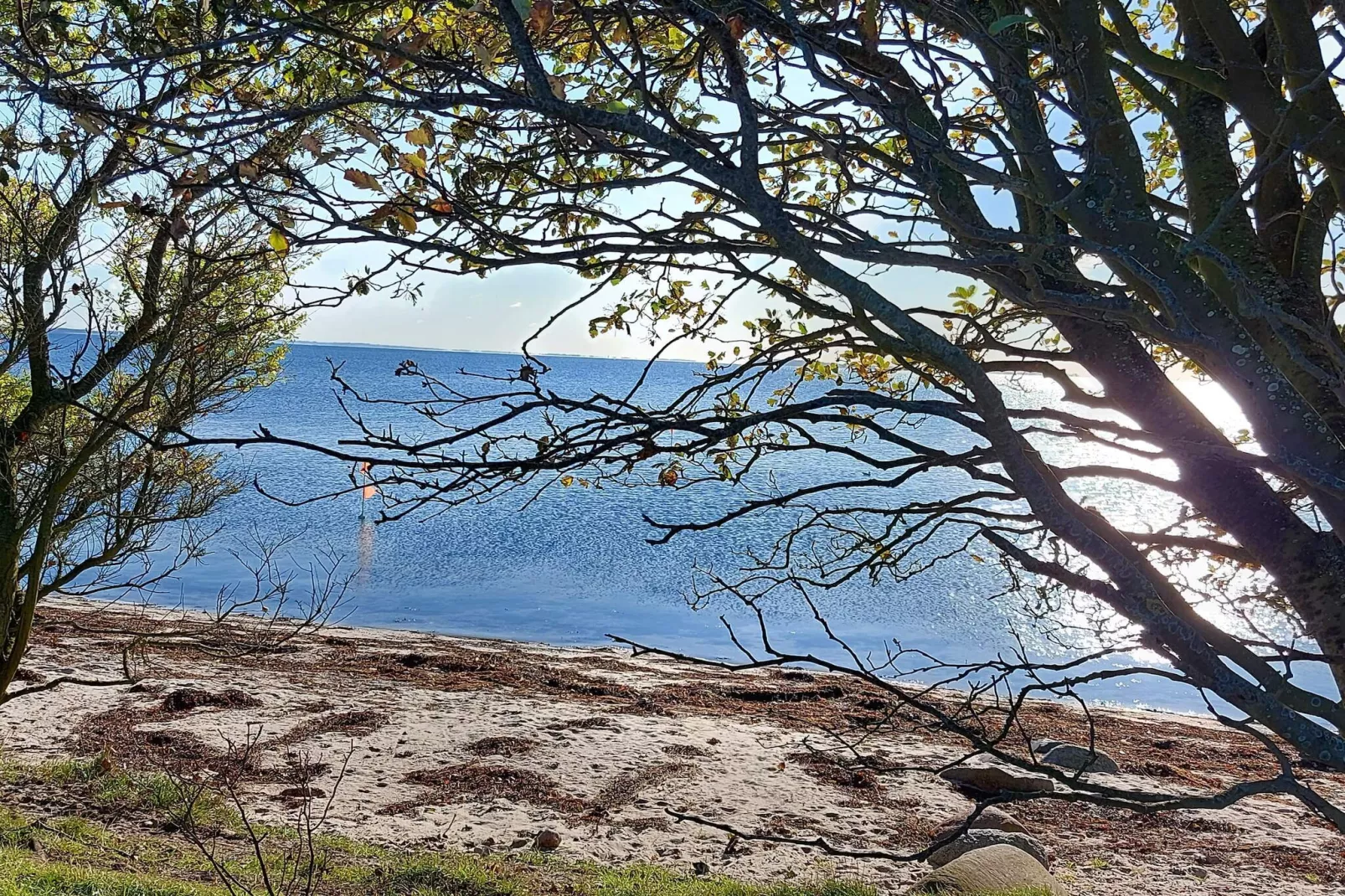 6 persoons vakantie huis in Sjølund-Waterzicht