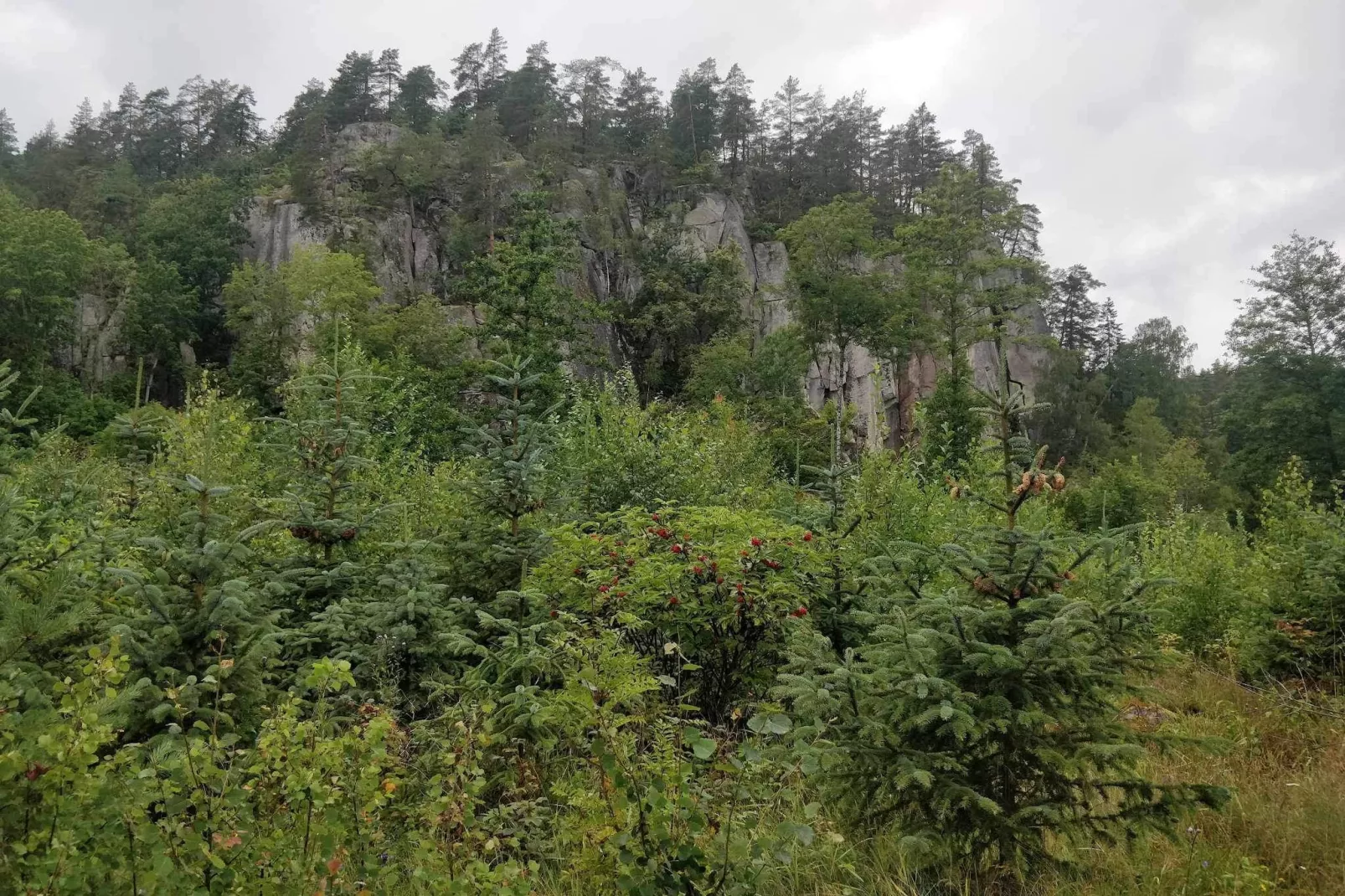 2 persoons vakantie huis in RIMFORSA-Niet-getagd