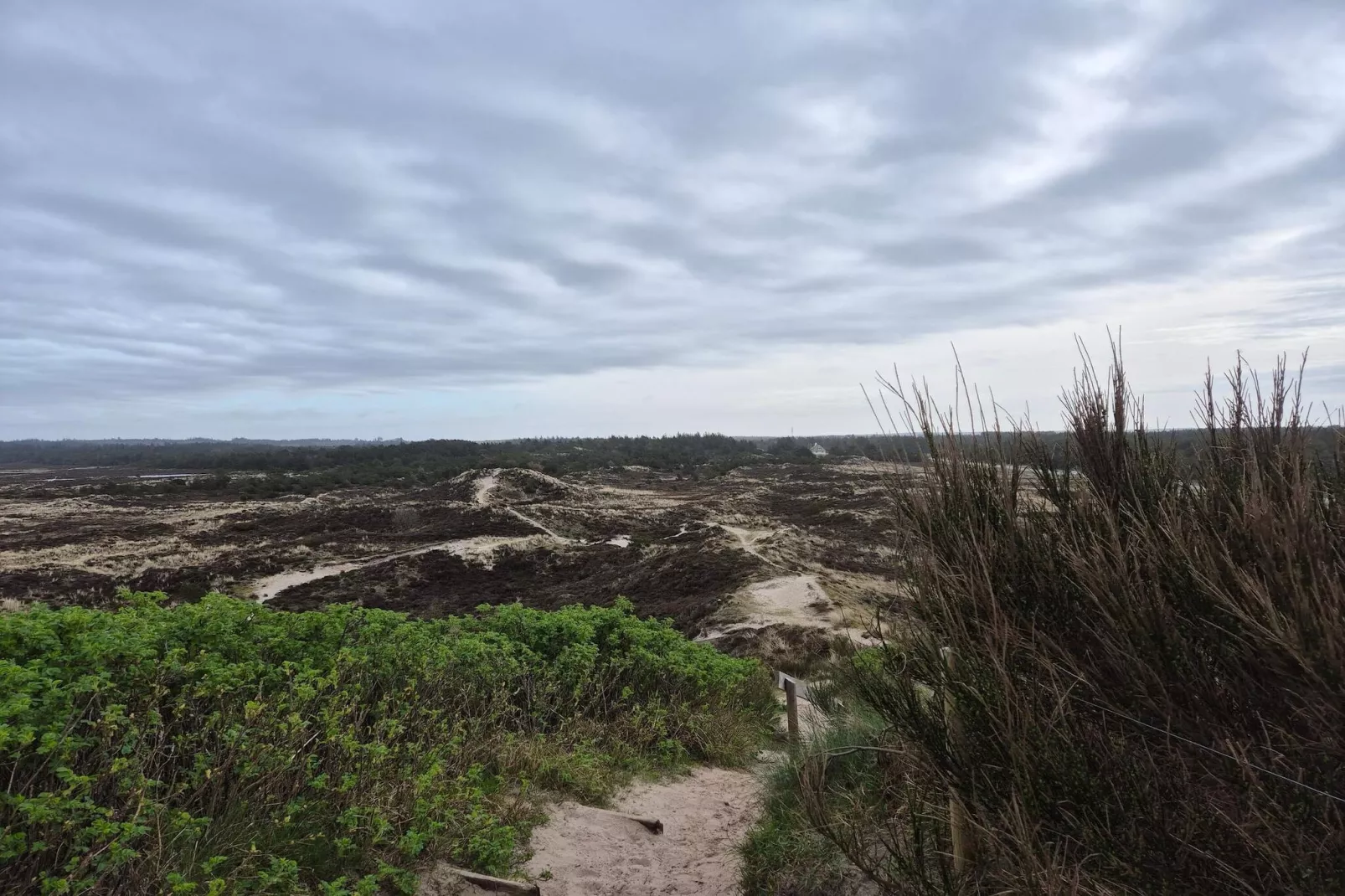 24 persoons vakantie huis in Nørre Nebel-Niet-getagd