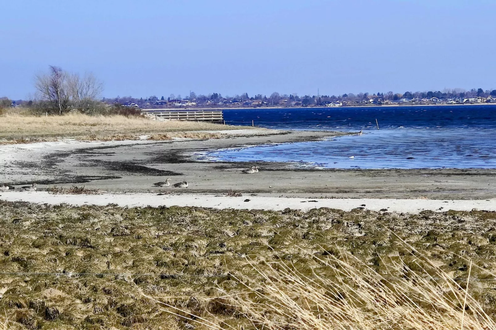 4 persoons vakantie huis in Skibby-Waterzicht