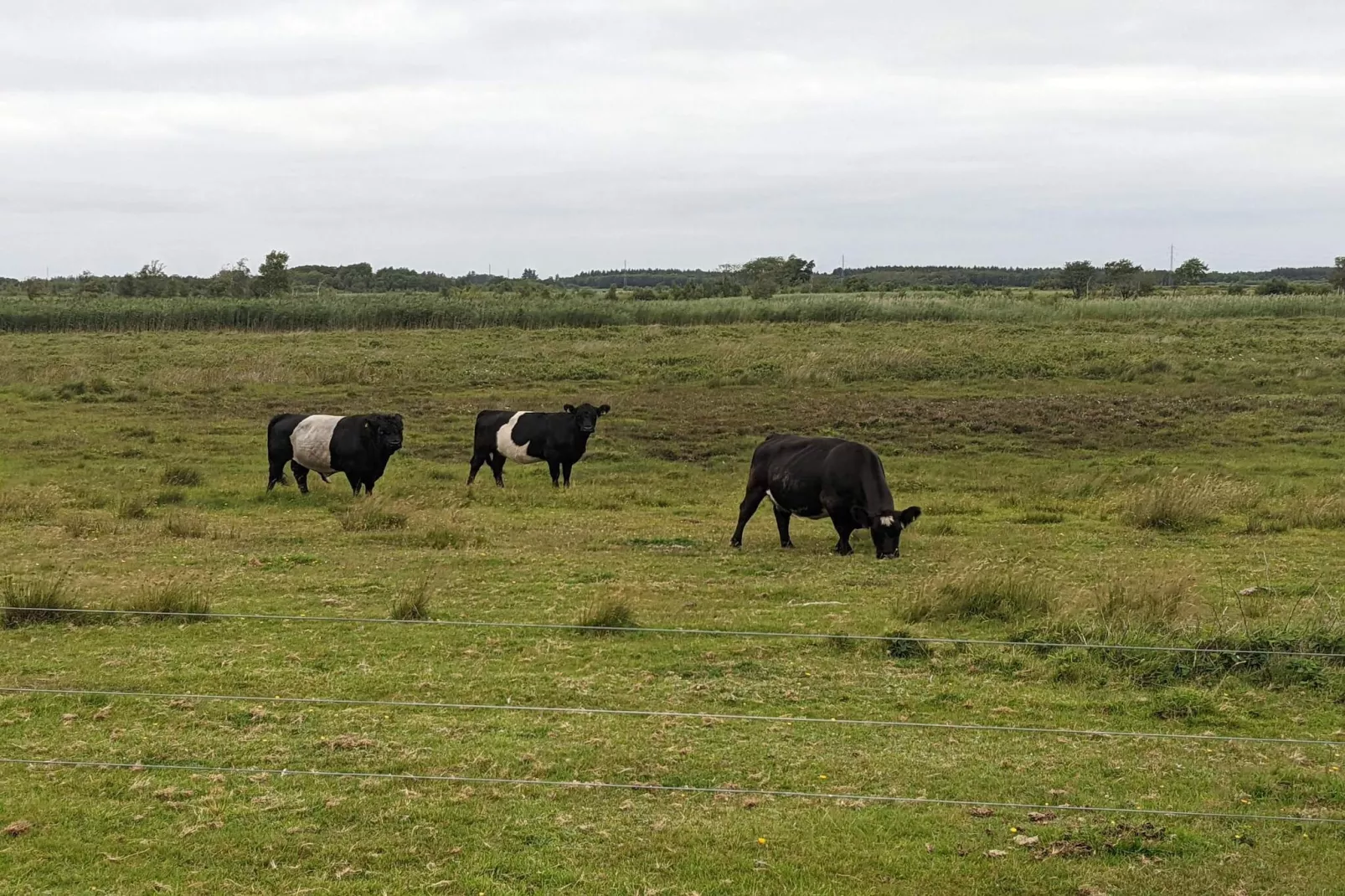 6 persoons vakantie huis in Bredebro-Niet-getagd