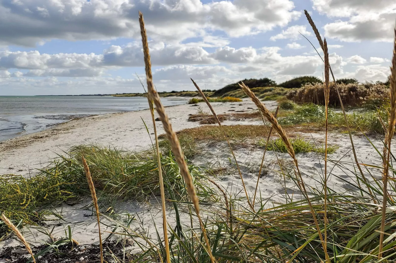16 persoons vakantie huis in Væggerløse-Waterzicht