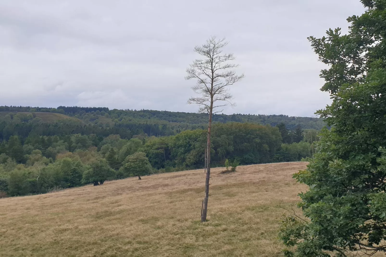 Lichte Cottage-oase in Silkeborg-By Traum-Niet-getagd