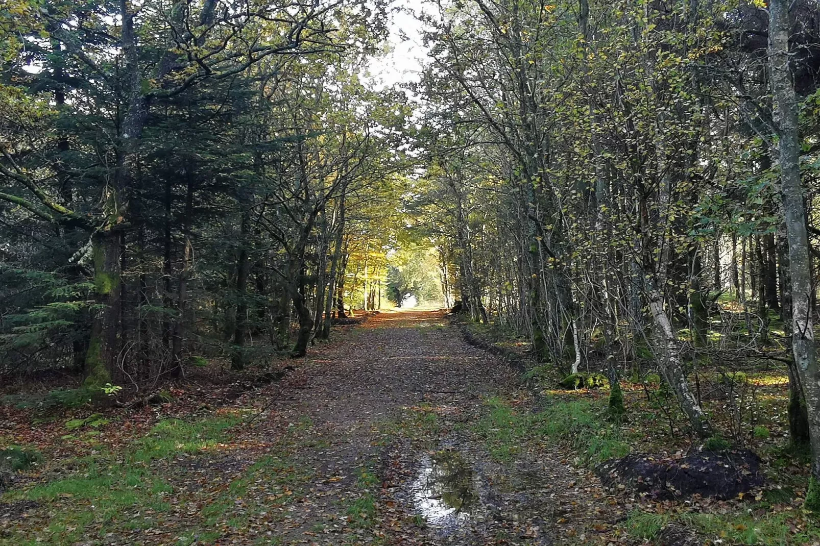 6 persoons vakantie huis in Henne-Niet-getagd